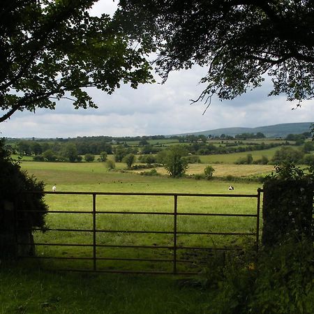 Brandon View House B&B Graiguenamanagh Екстериор снимка