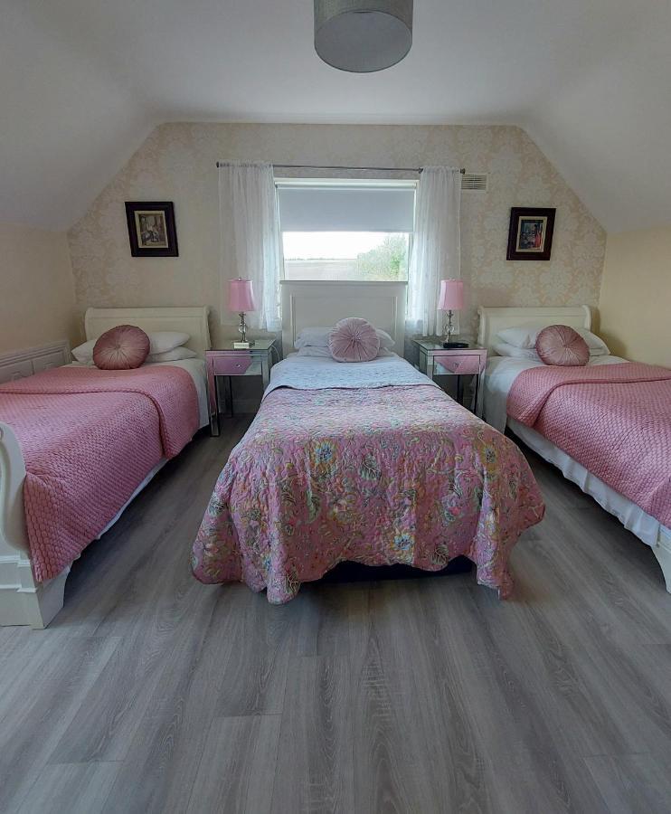 Brandon View House B&B Graiguenamanagh Екстериор снимка