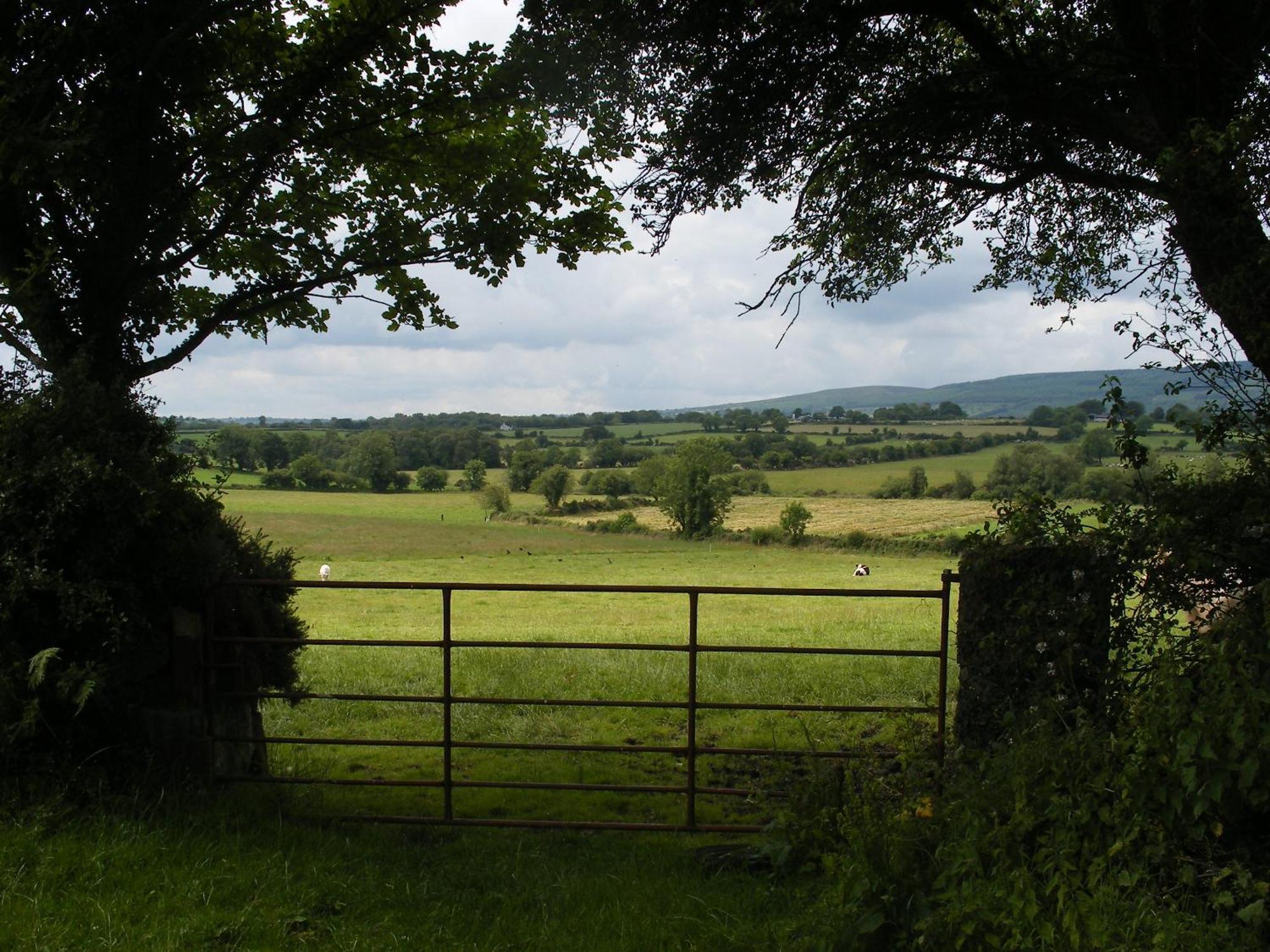 Brandon View House B&B Graiguenamanagh Екстериор снимка