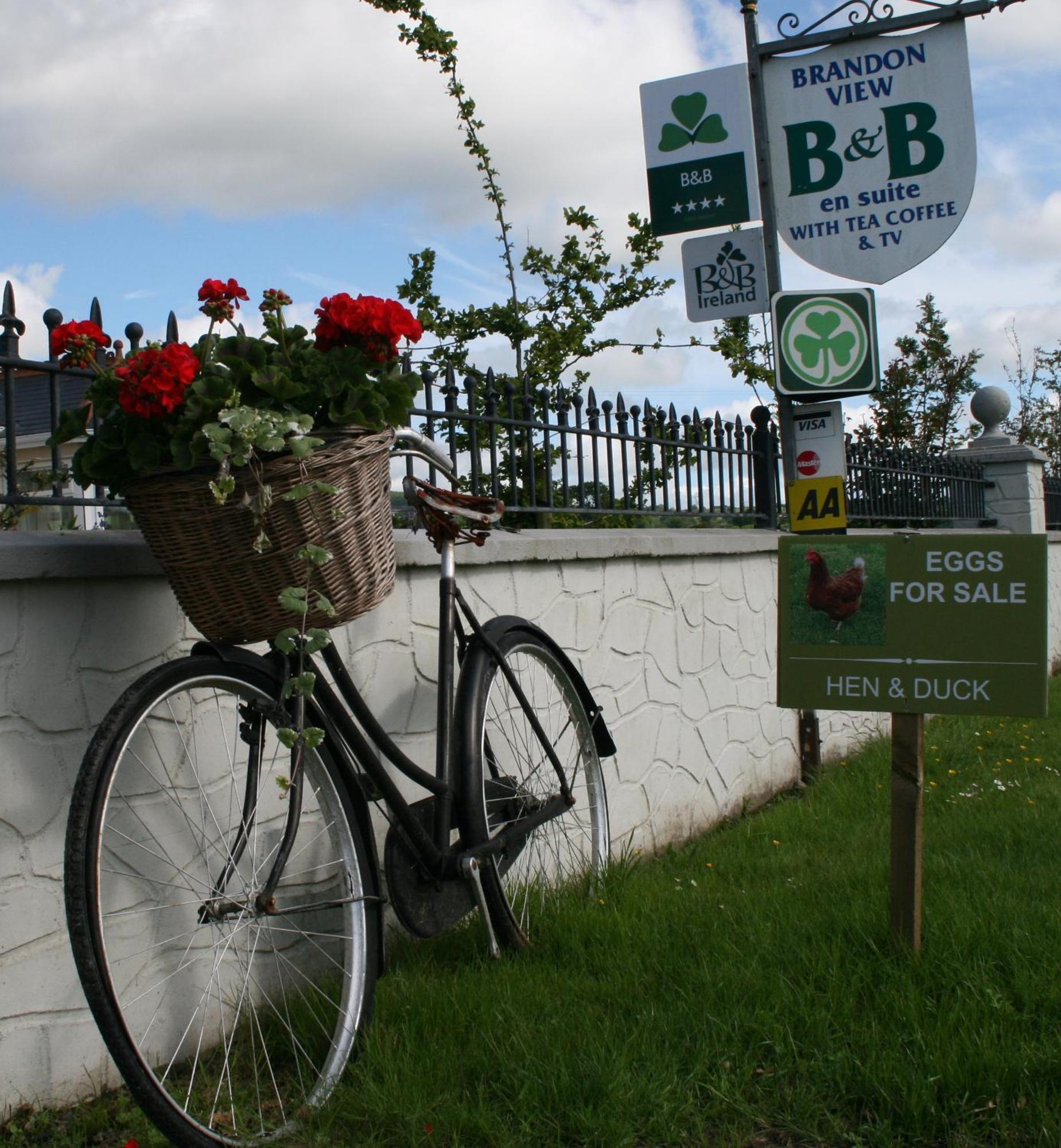 Brandon View House B&B Graiguenamanagh Екстериор снимка