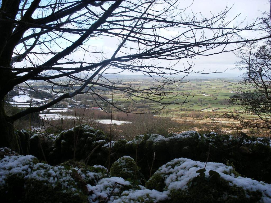 Brandon View House B&B Graiguenamanagh Екстериор снимка