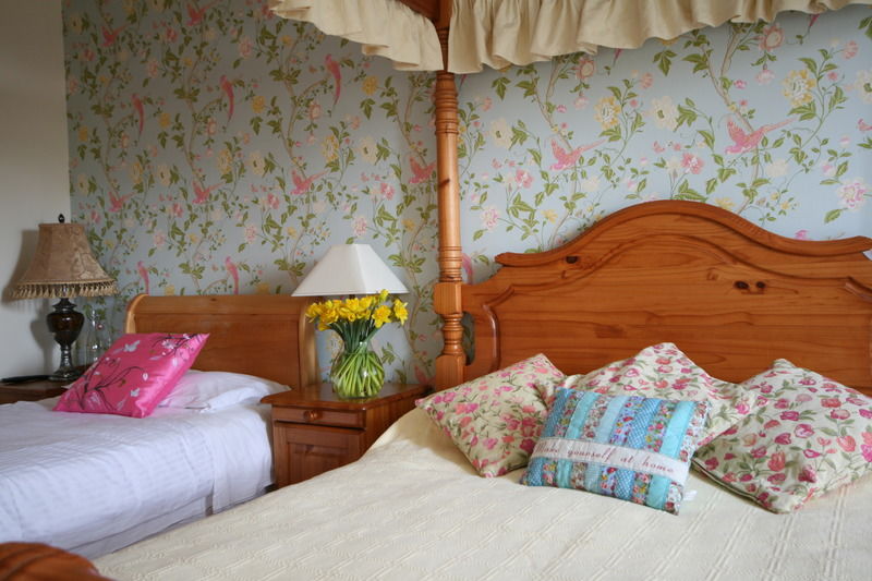 Brandon View House B&B Graiguenamanagh Екстериор снимка