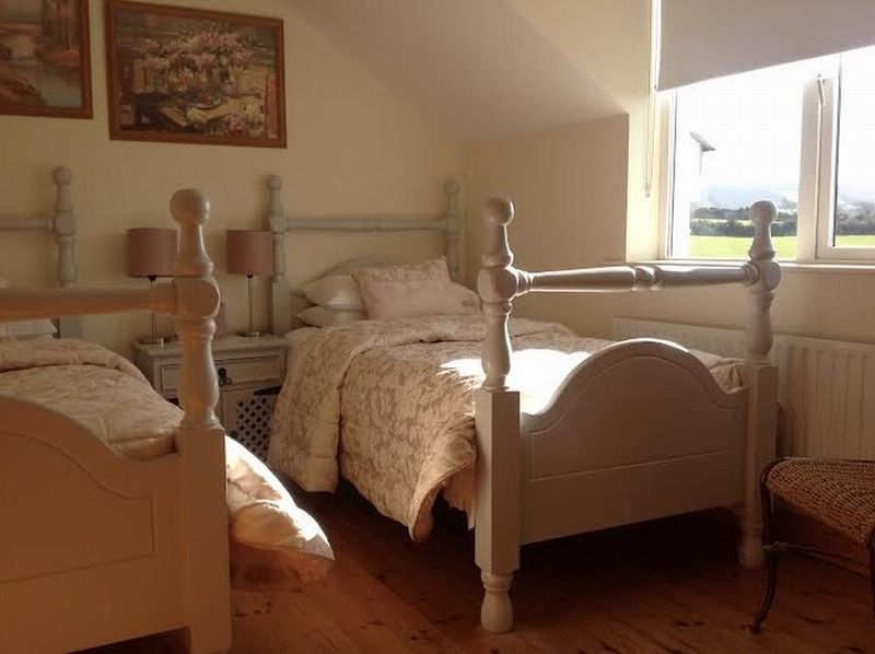 Brandon View House B&B Graiguenamanagh Екстериор снимка
