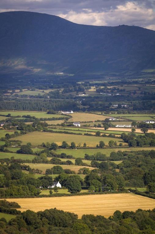 Brandon View House B&B Graiguenamanagh Екстериор снимка