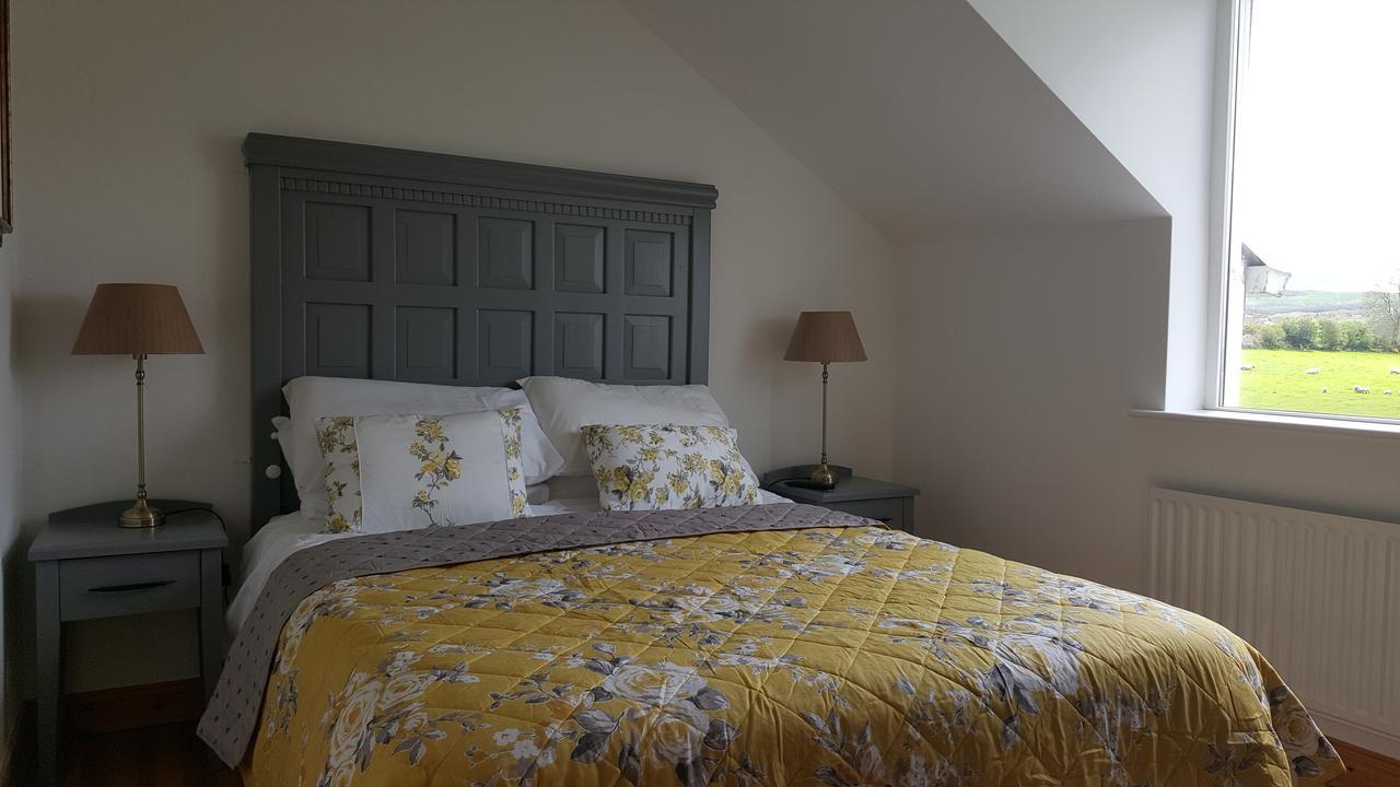 Brandon View House B&B Graiguenamanagh Екстериор снимка