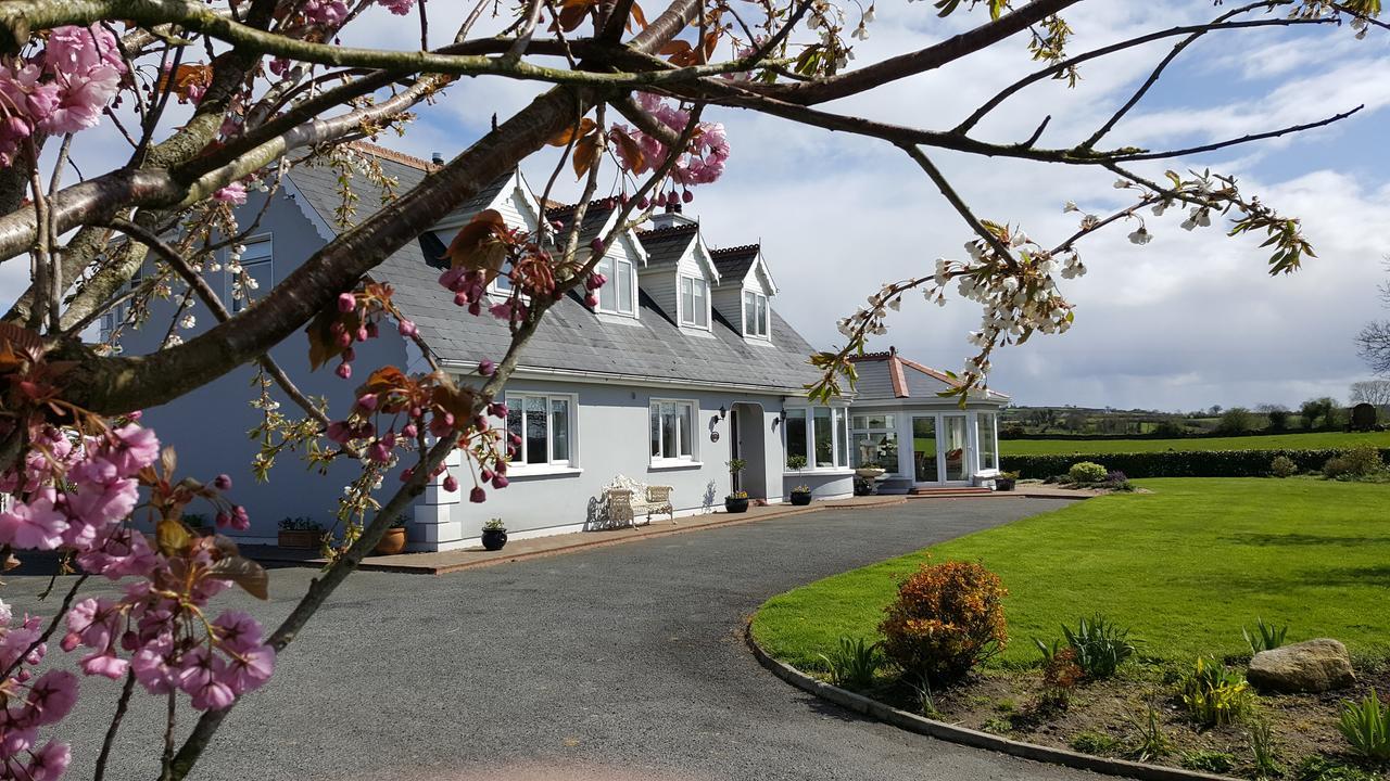 Brandon View House B&B Graiguenamanagh Екстериор снимка