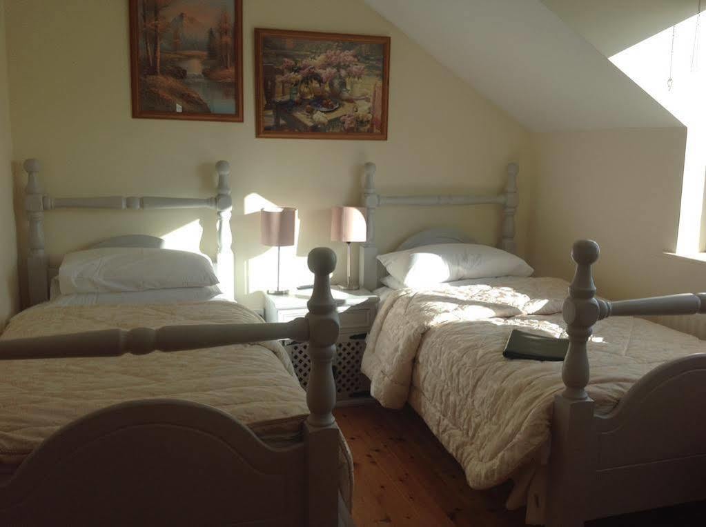 Brandon View House B&B Graiguenamanagh Екстериор снимка
