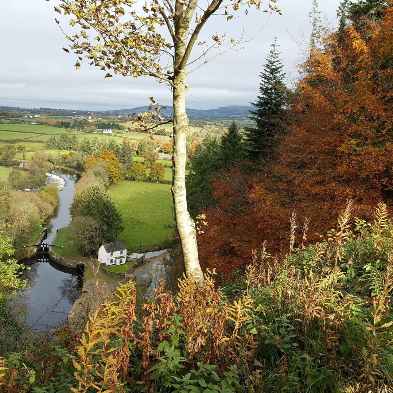 Brandon View House B&B Graiguenamanagh Екстериор снимка